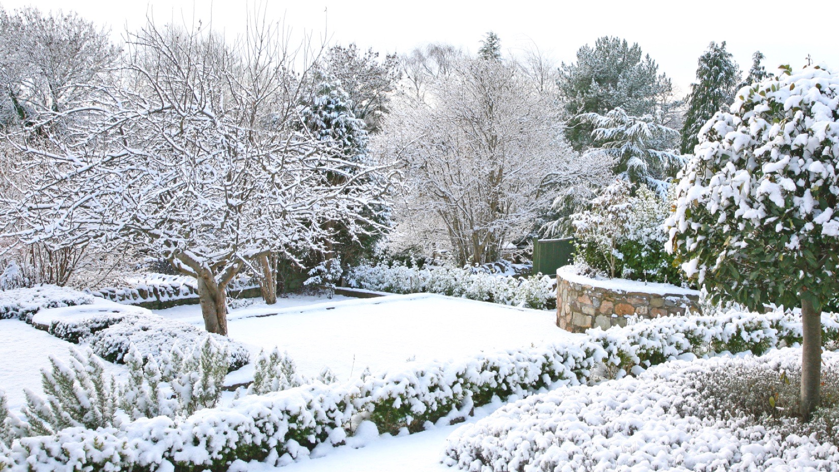 Residential Snow Removal Services in Rosemount, MN